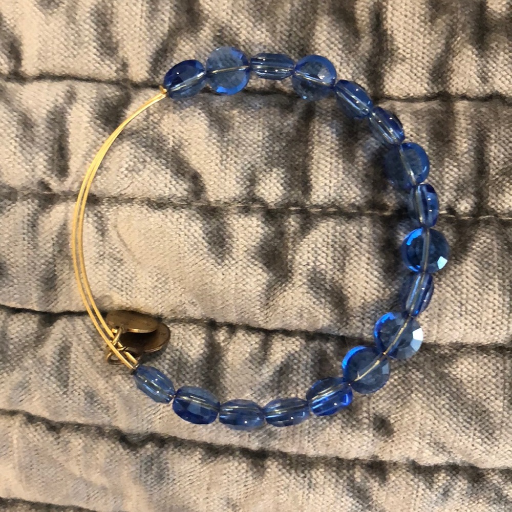 ALEX AND ANI bracelet